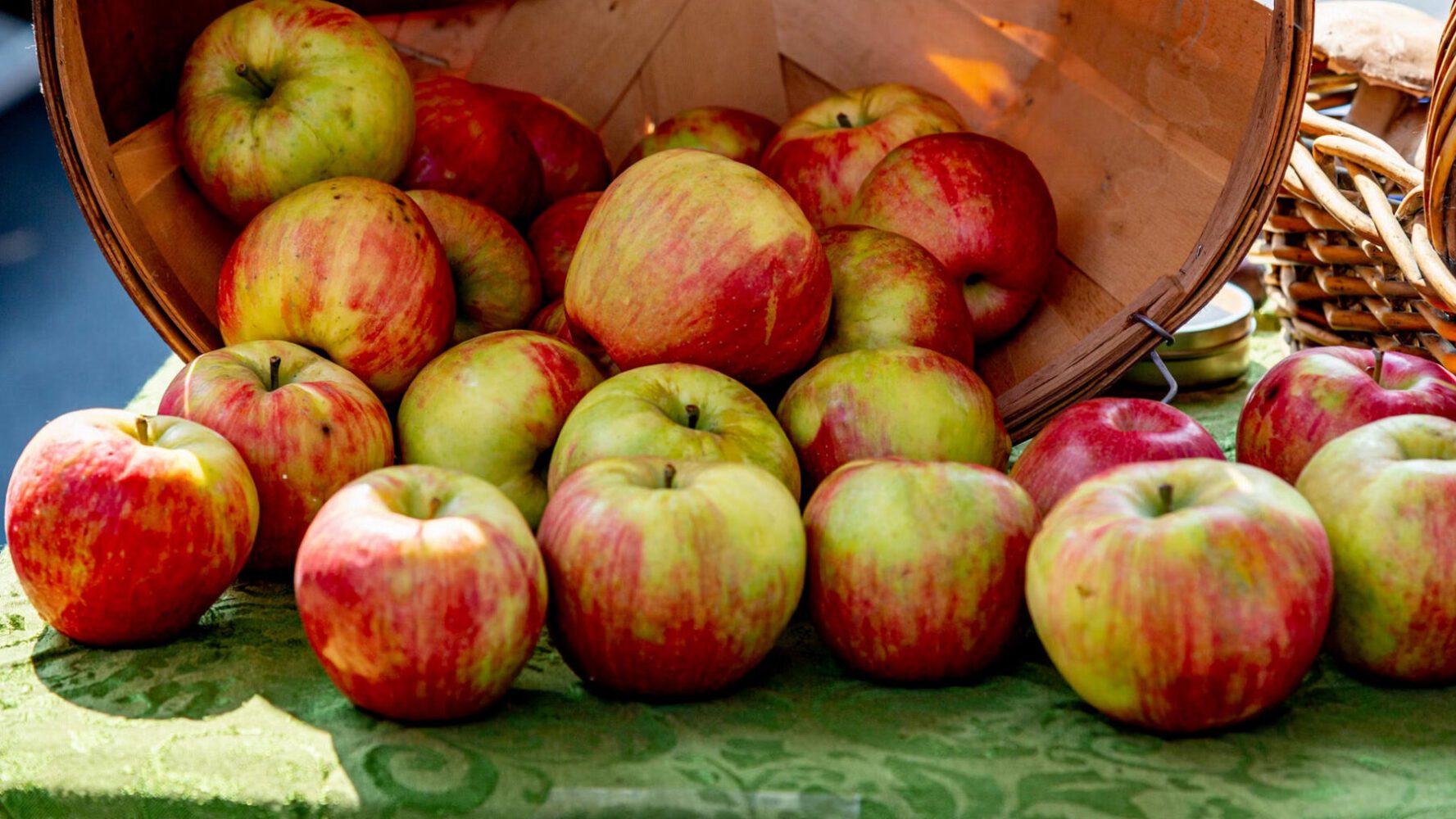 Садівники розповіли, в чому секрет тривалого зберігання яблук
