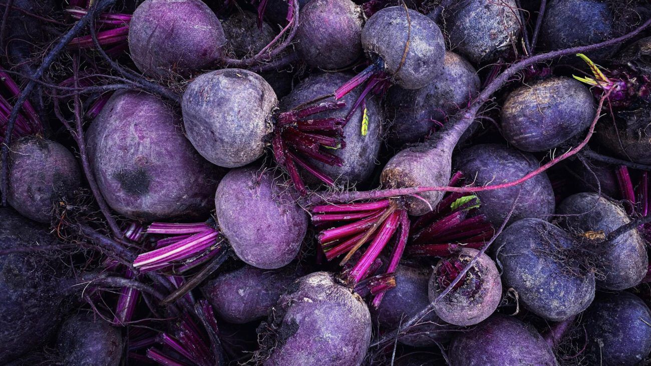 Експерт розповів, коли у жовтні копати буряки