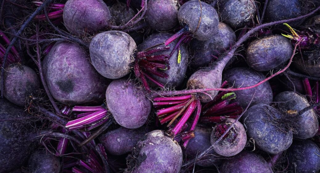 Коли копати буряки у жовтні 2025: агроном з Одеси дав відповідь – урожай долежить до літа 