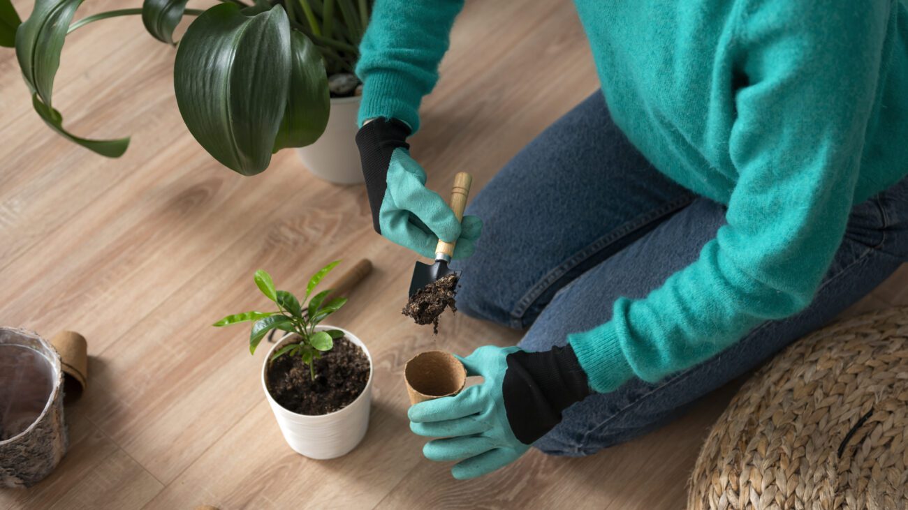 Сприятливі дати для пересадки рослин у вересні 2025