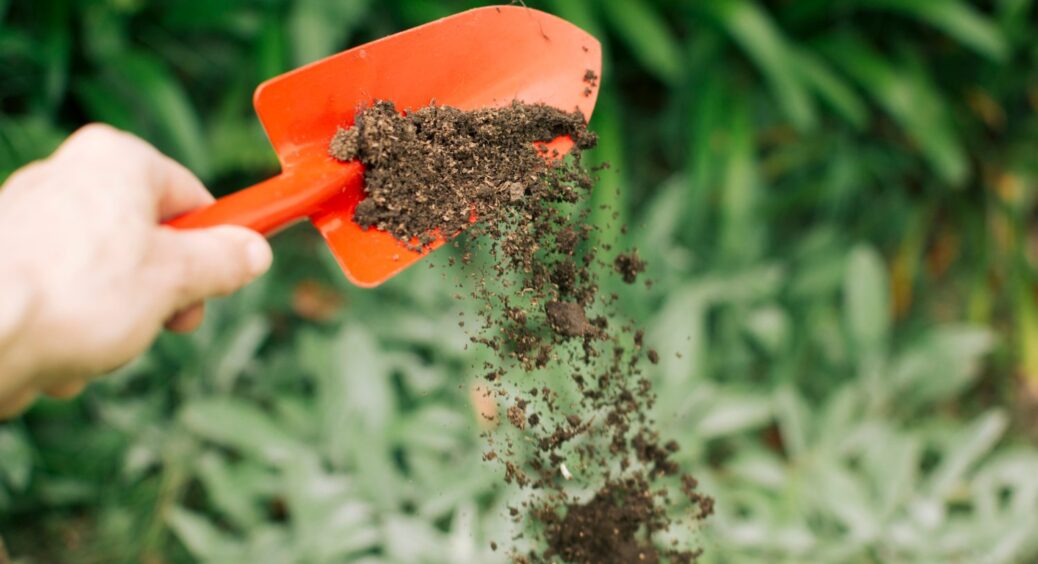 Восени посипаю грядки 1 склянкою такого живильного “порошку”: треба встигнути до першого снігу 