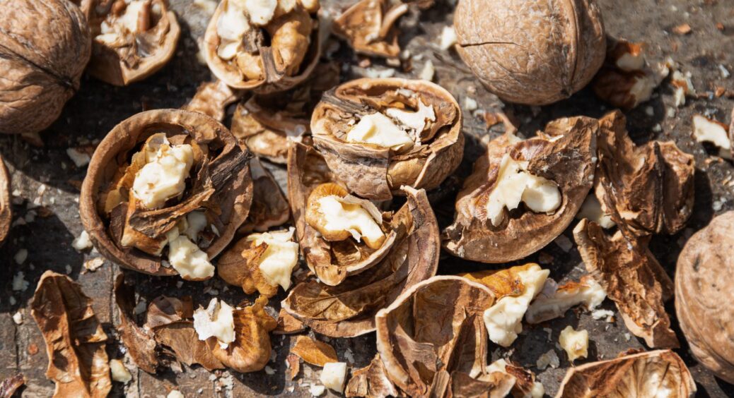 Горіхова шкаралупа – добриво №1 для городу. Експерти розповіли, як та навіщо її використовувати 