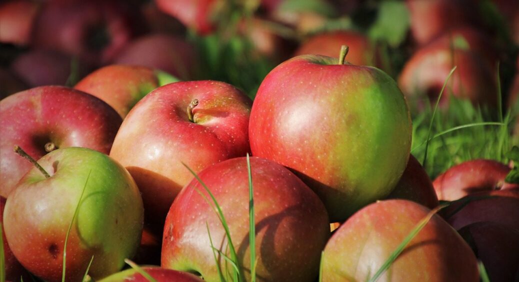 Запечені яблука — справжній осінній десерт 2025 року: ласувати радять з чаєм і навіть кавою 