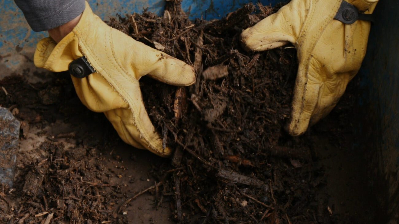 Фермери назвали найкращі добрива для городу, які гарантують гарний урожай