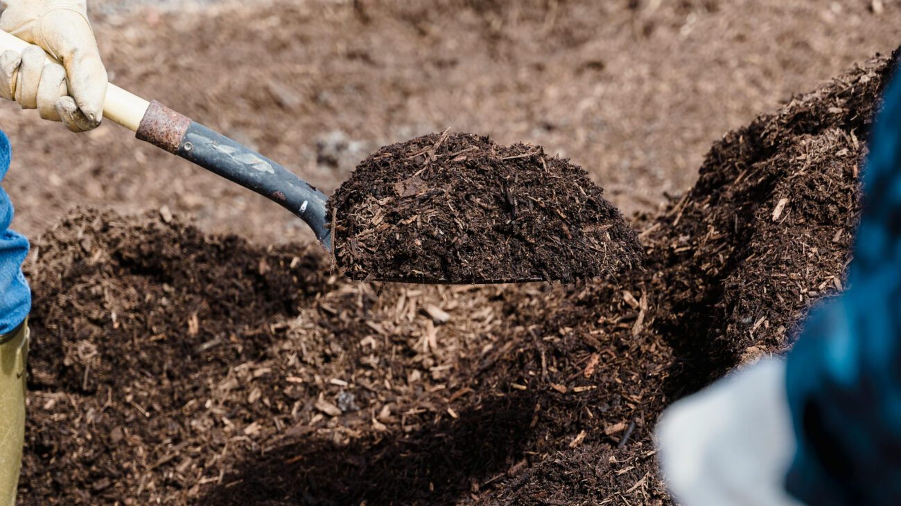 Аграрії розповіли, що внести під дерева восени для рекордного урожаю у 2026