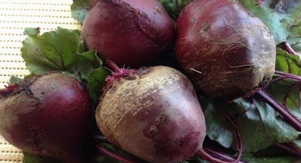 Ці 2 сорти буряка я раджу всім подругам: мʼякоть ніжна, колір насичений і жодних кілець 