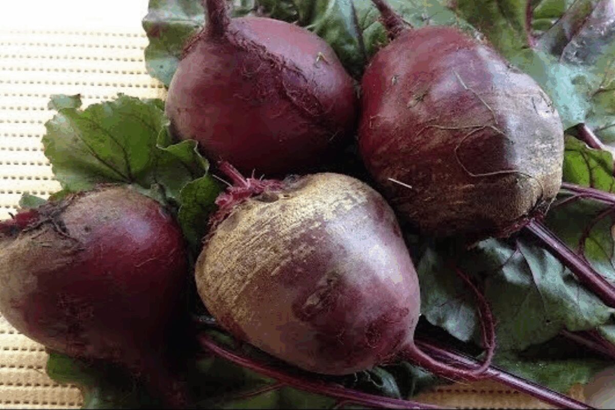 Експерт розповів, який буряк варто посадити на городі