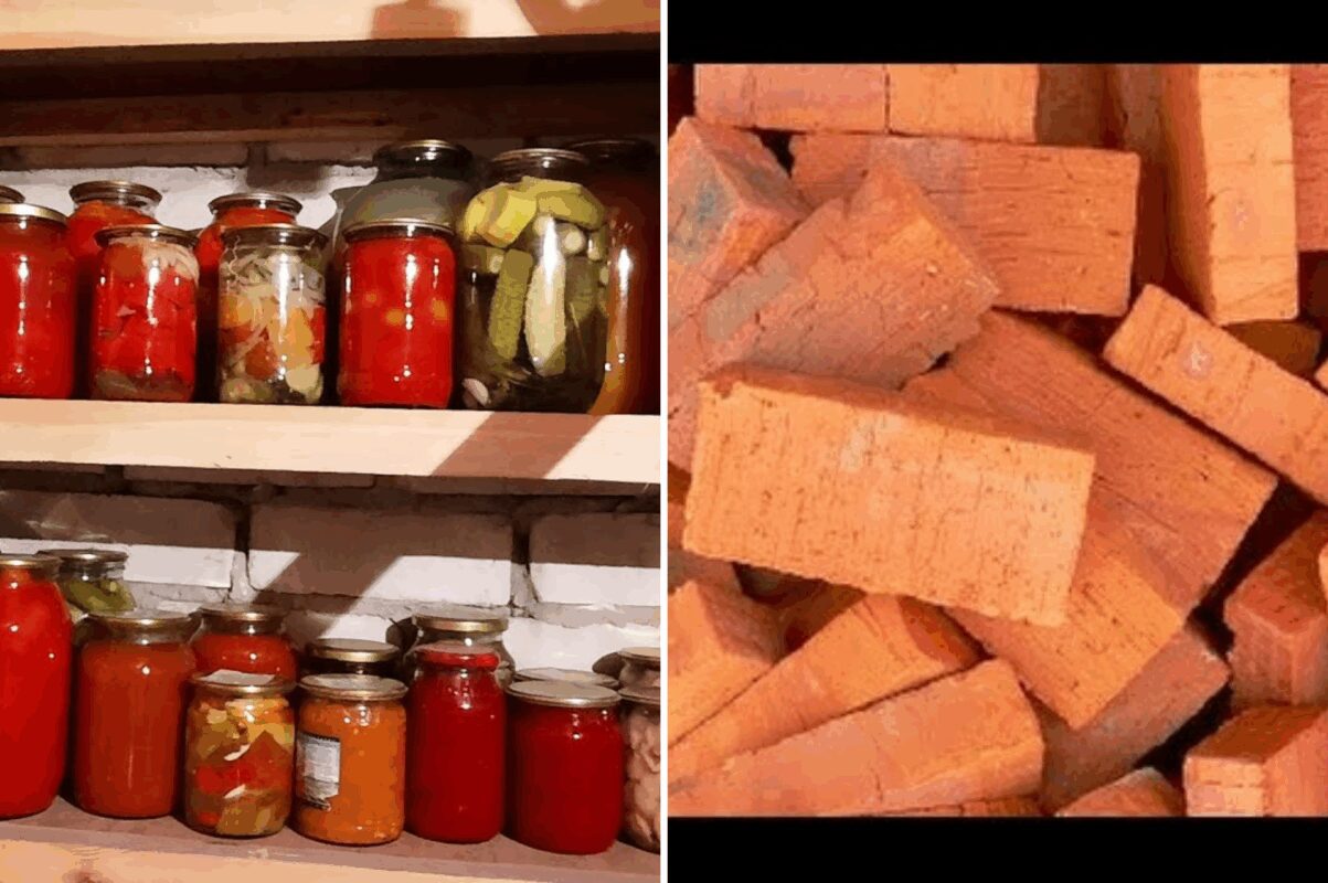 Як прибрати з погребу увесь конденсат