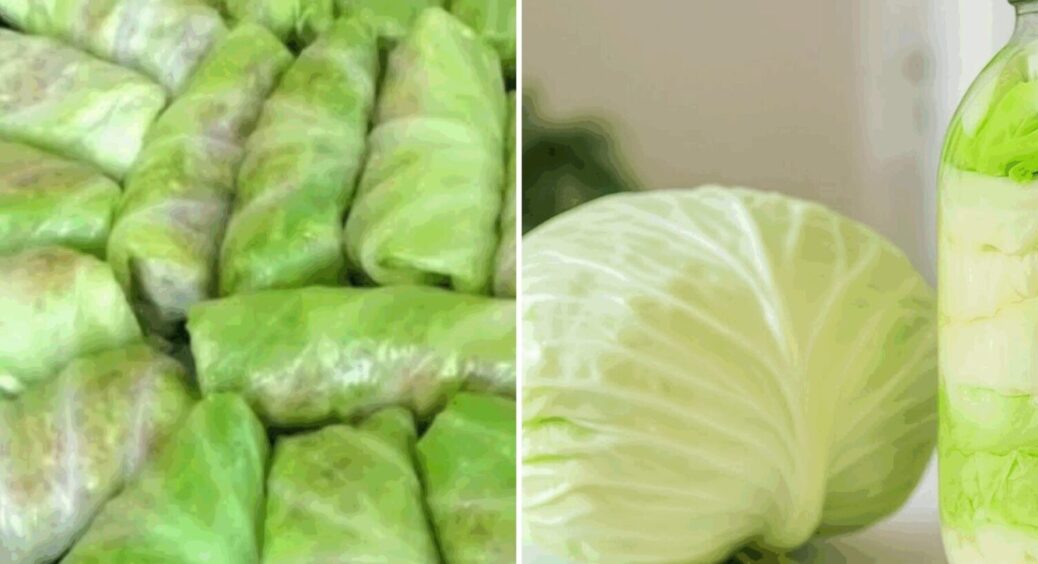 Без варіння і заморозки: капустяне листя для голубців розм’якшую за 5 хвилин 