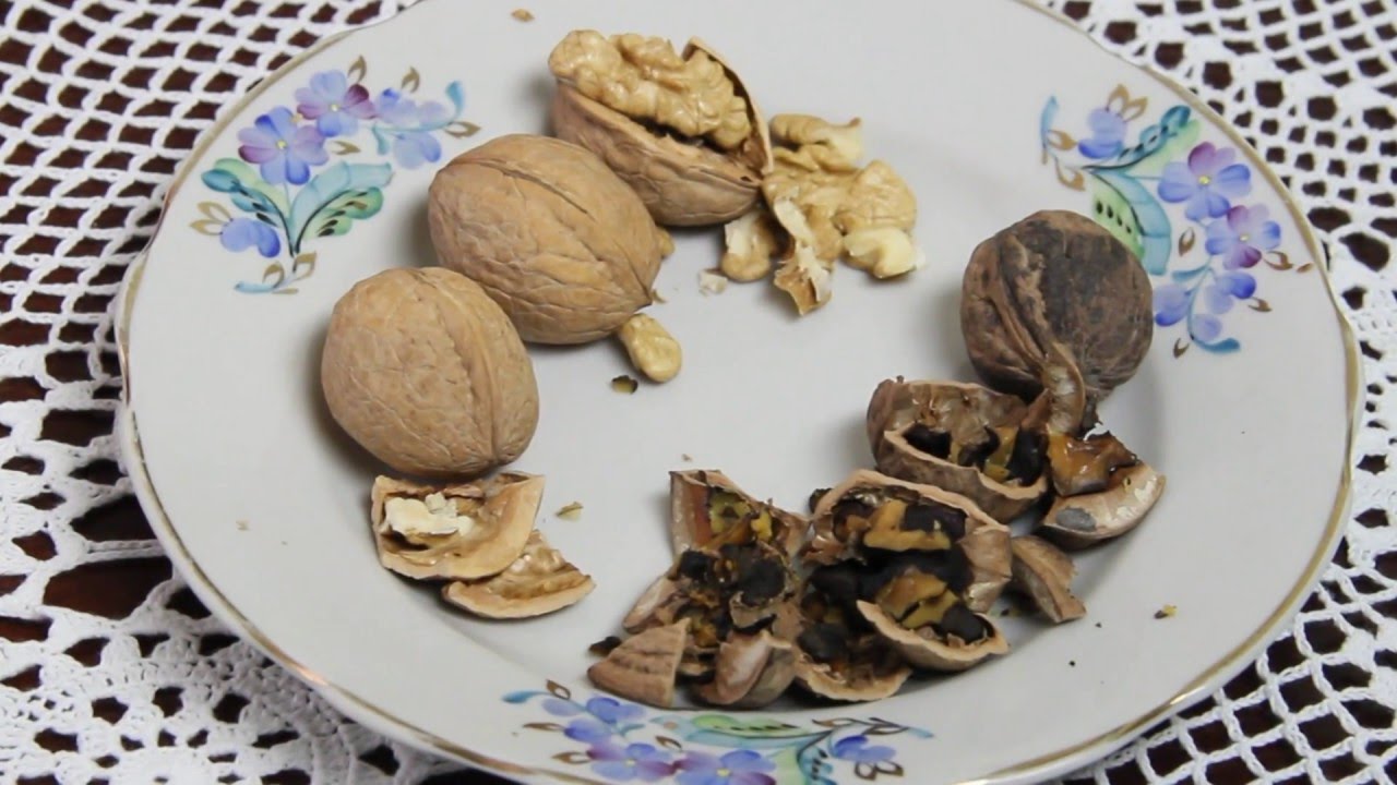 Господиня розповіла, як чистити волоські горіхи швидко