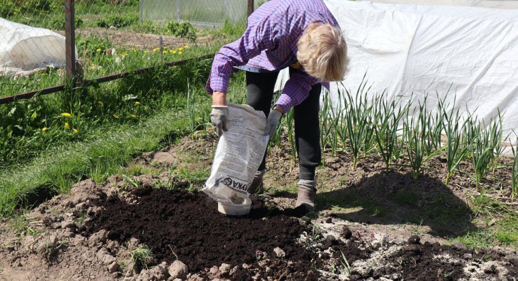 Удобрюю город у листопаді цим і не натішуся врожаю влітку: 1 добриво, 1 город, і море овочів 