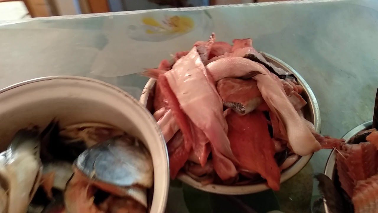 Чим підживити ґрунт в теплиці, щоб огірки вродили 