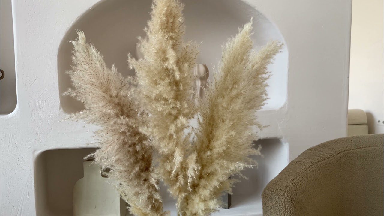 Рослини-паразити, які не можна саджати на городі