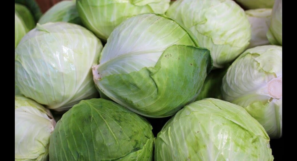 Капусту взимку зберігаю навіть без холодильника – ось секрет, який працює на  100% весь сезон 