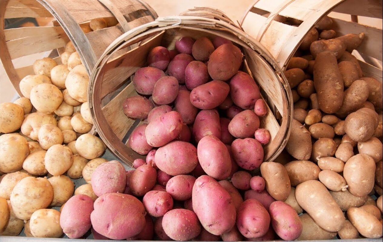 Городники розповіли, як перетворити картопляні очистки в добриво для рослин