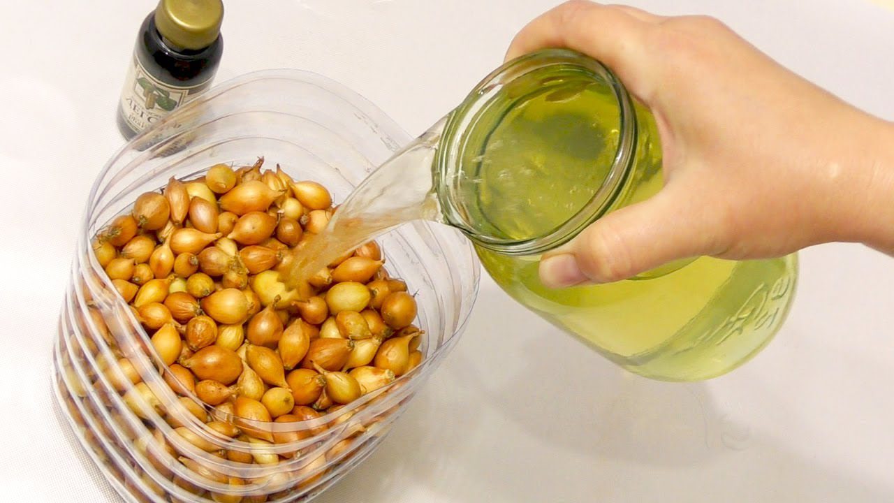 Помилка при посадці озимої цибулі