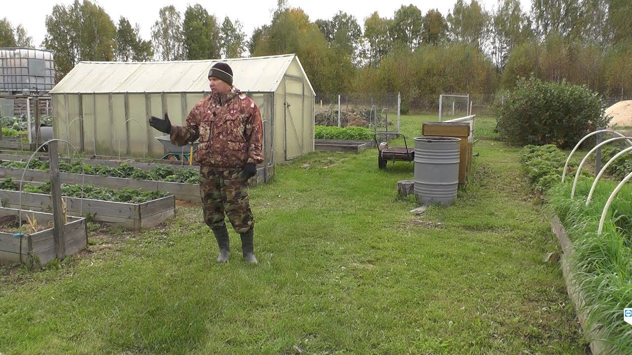 Як підготувати город до зимівлі 