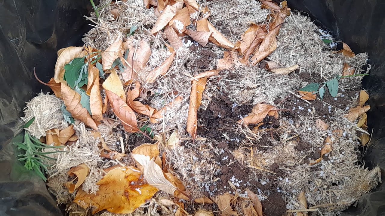 Чим підживити землю восени