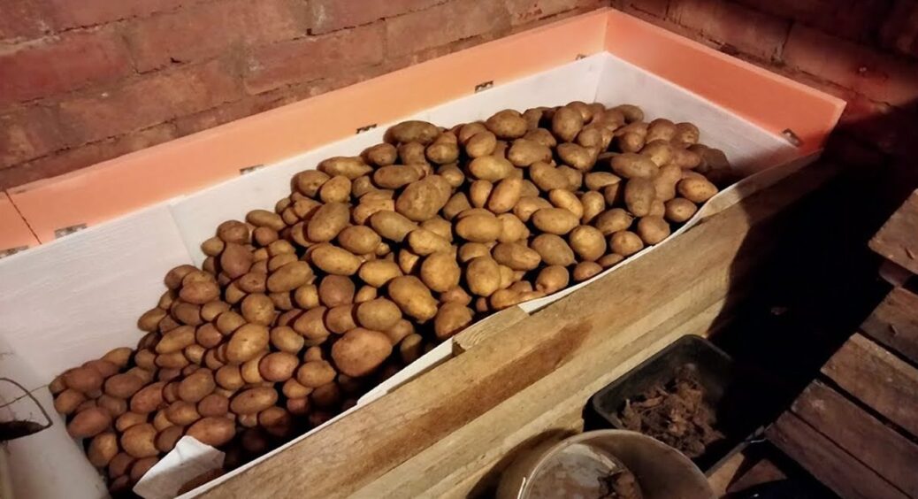 Залишитесь без урожаю, а воно вам треба? В яких ящиках категорично НЕ можна зберігати картоплю 
