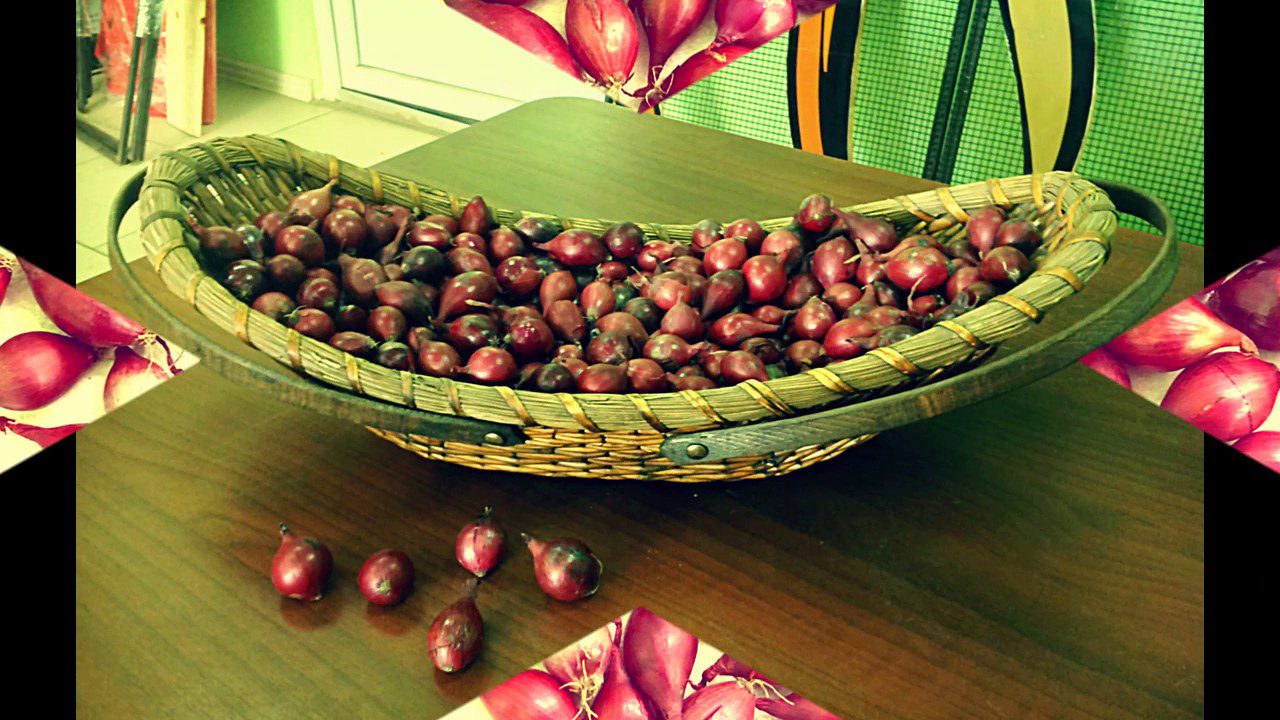 Найкращі сорти цибулі для посадки