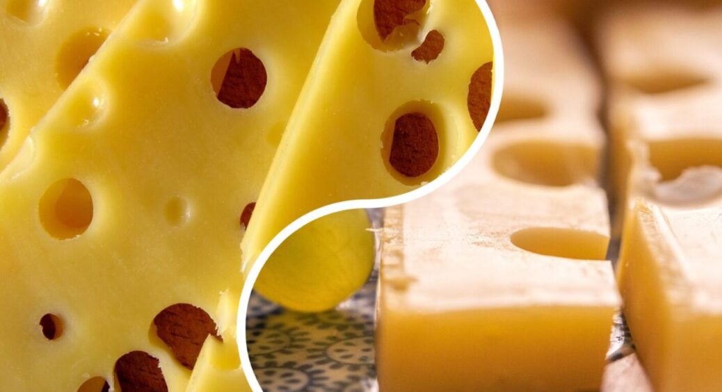 Чому знежирений кисломолочний сир – це маркетинг: дієтологи поділилися несподіваною правдою 