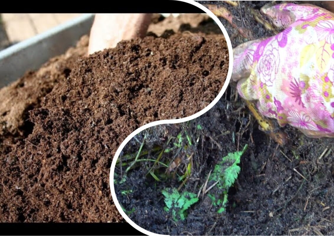 Яке добриво внести у землю восени