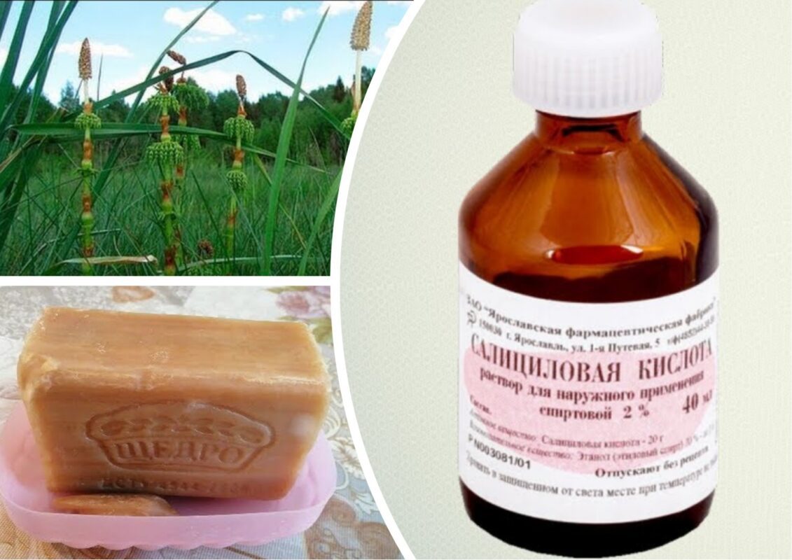 Як врятувати троянди від чорної плямистості 