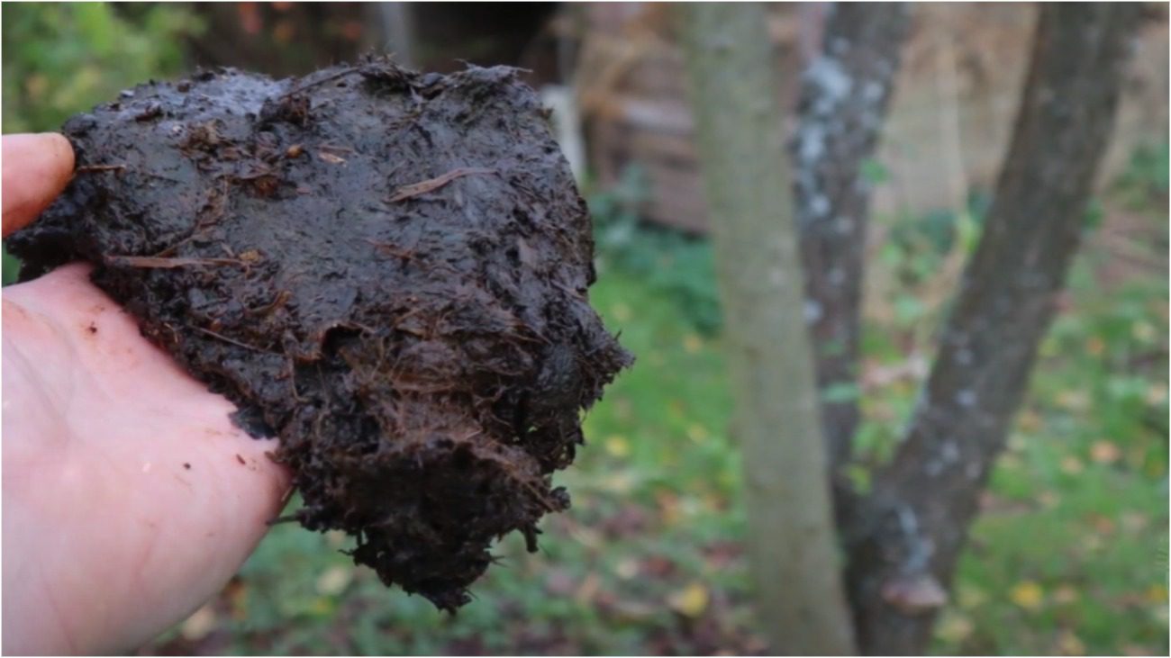Городники знайшли безкоштовне добриво, яке діє краще ніж гній та перегній
