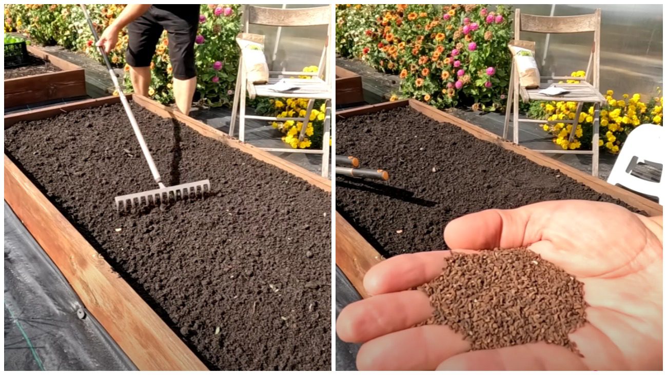 Городники назвали найшвидший спосіб відновлення родючості ґрунту