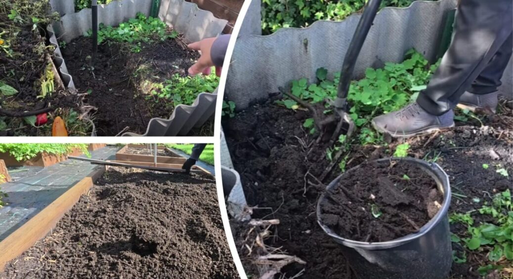 Золото для грядок! Як правильно розсипати компост, щоб отримати найбільшу користь для ґрунту 