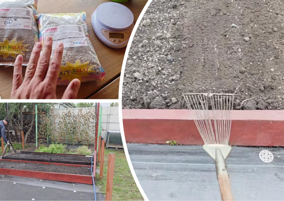 Городник розповів, що потрібно обов'язково внести до ґрунту до кінця жовтня