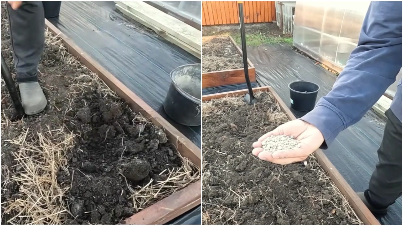 Городники розповіли, як у 3 рази підвищити родючість ґрунту