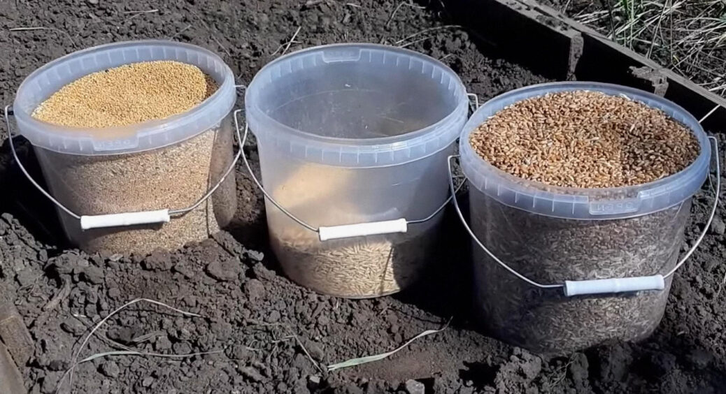 Щоб навесні земля була пухка, жива і готова до нового врожаю: 3 правила суперсадівника 