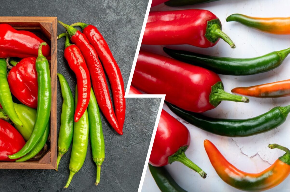 Дачники розповіли, як виростити перець чилі в домашніх умовах на підвіконні