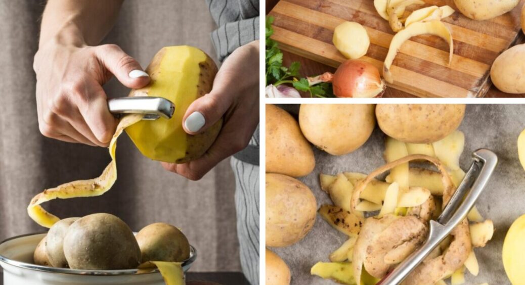 Картопляні очистки не викидаю, а збираю для цього: маю по 5 кг цибулі з квадратного метра 