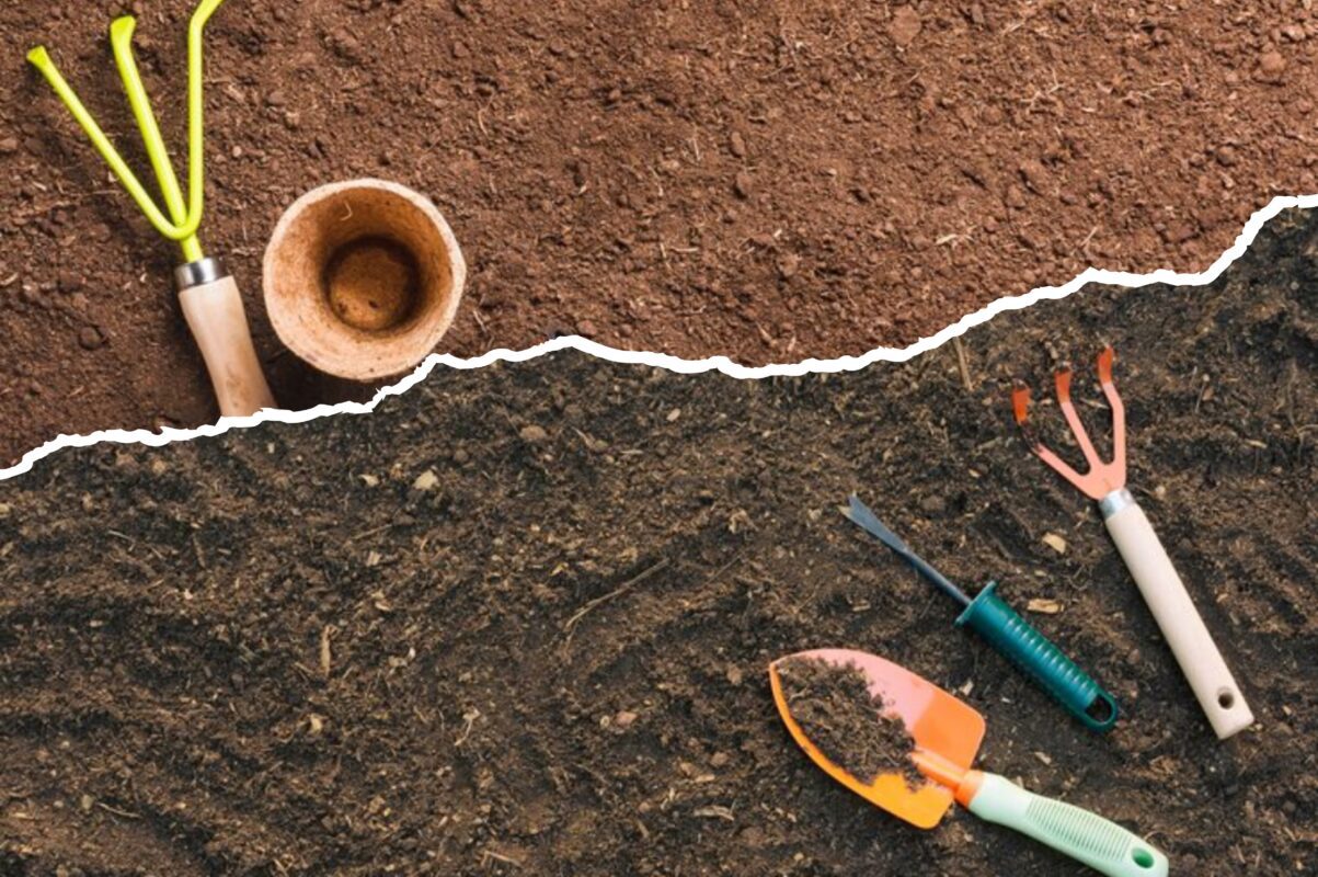 Як покращити якість ґрунту без гною