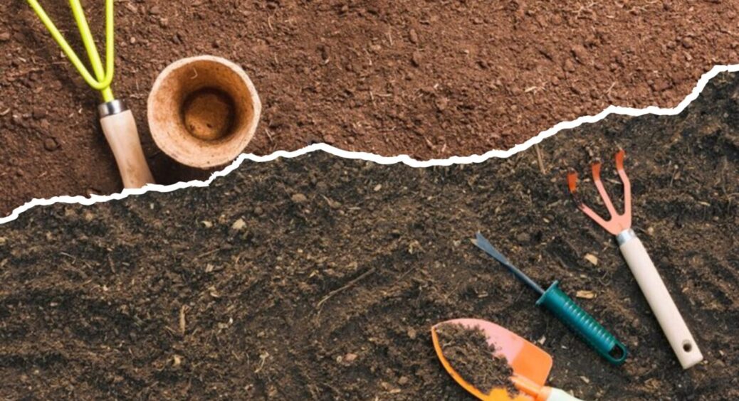 1 ложка насіння під перший сніг – працює на всі 100: як покращити якість ґрунту в 2025-му 