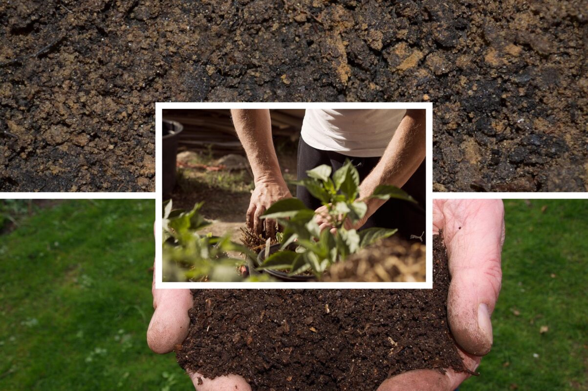 Городники розповіли, як підвищити родючість ґрунту за допомогою одного продукту