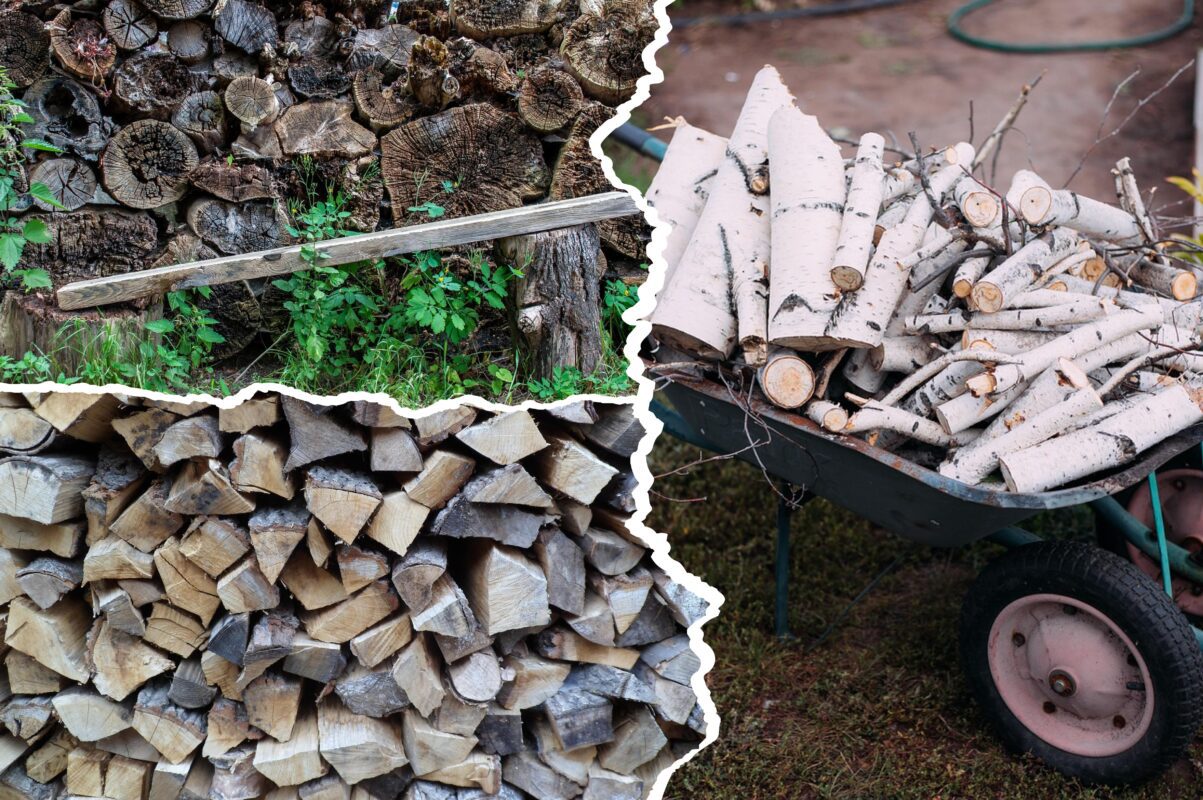 Експерти розповіли, як правильно висушити дрова, щоб горіли без диму та іскор