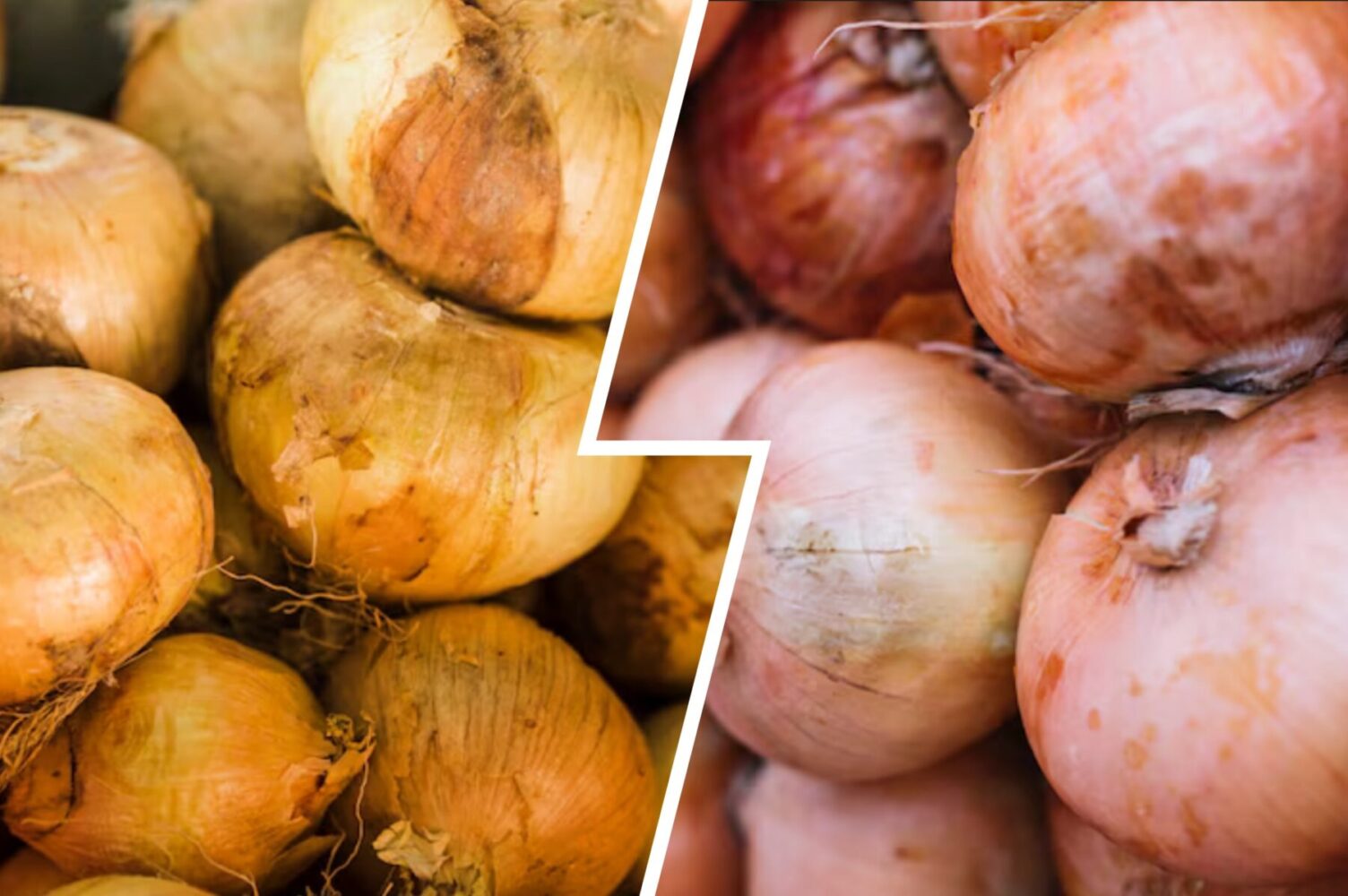 Дачники розсекретили продукт, який варто додати до лунки під час посадки цибулі