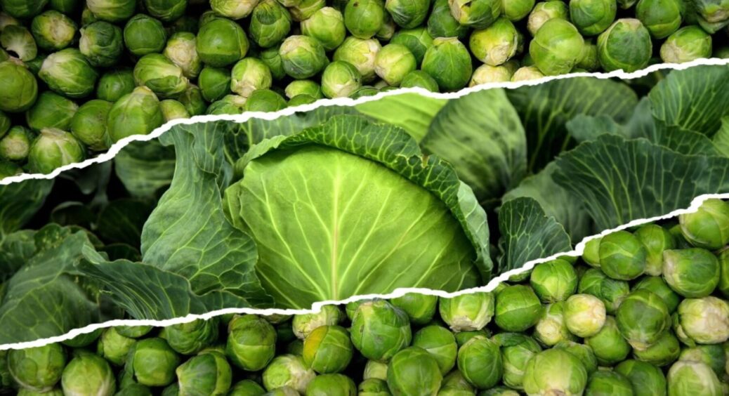 Пролежить аж 1 рік: ось як треба закласти капусту на довготривале зберігання в 2025-2026 