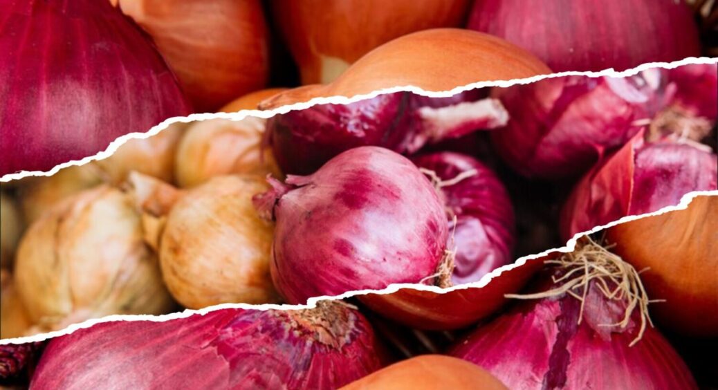 Пролежить цілою і свіжою понад 6 місяців: як зберігати врожай цибулі вдома – поради 