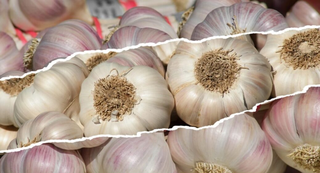 1 продукт в лунку – і часник вдвічі більший: завжди додаю цей інгредієнт під час посадки овочу 