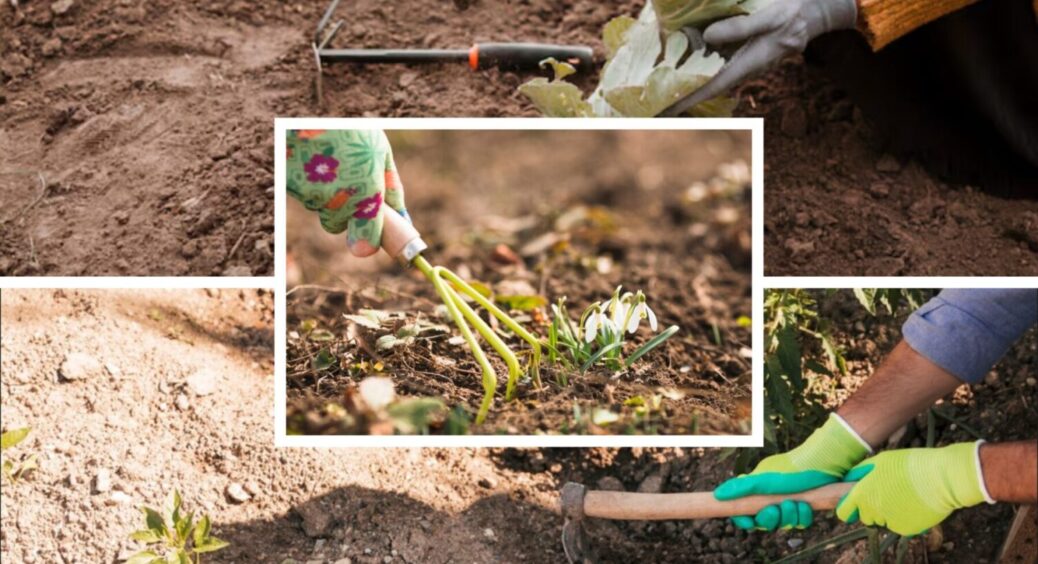 Свекруха навчила, і добрив не треба! В рази ефективніше для землі за 99% професійних підживок 