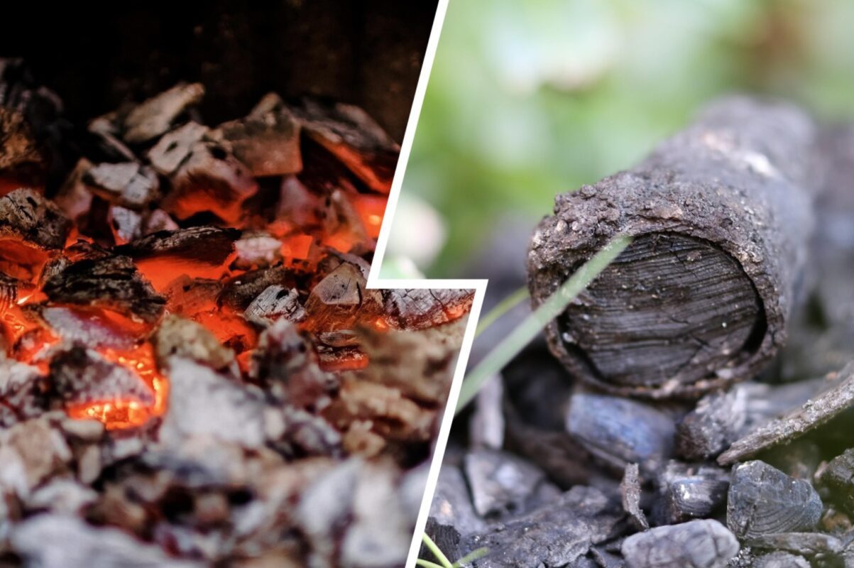Дачники розповіли, що посипати на грядку восени для родючості ґрунту