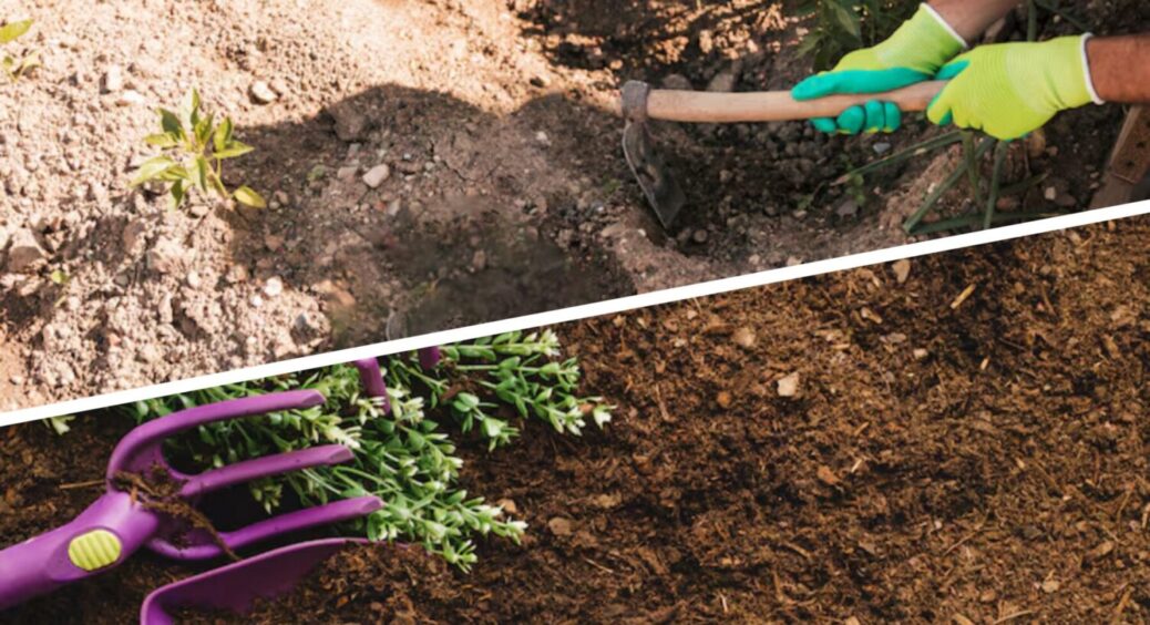 1 підживка в ґрунт зараз, і вже навесні 2026 буде МЕГА врожай: чим підгодувати ділянку 