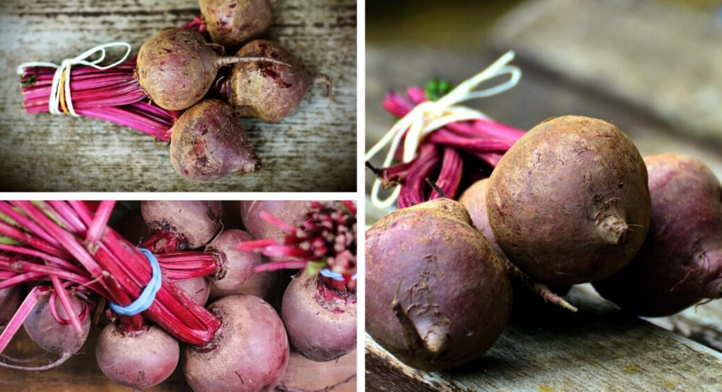Рання пташка: саджаю з року в рік цей сорт буряків – смачні, соковиті, плоди по 300 г 