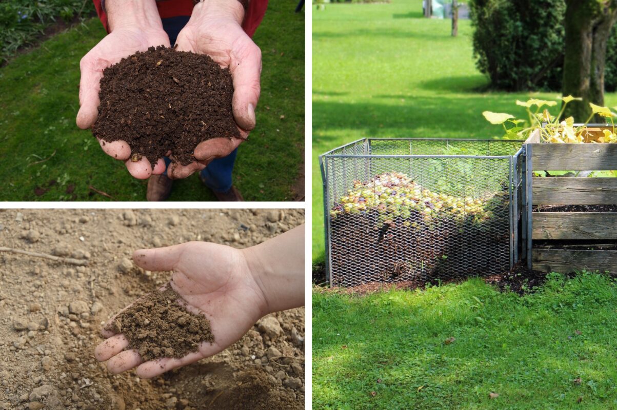 Городники розповіли, що внести в ґрунт восени, щоб покращити його якість