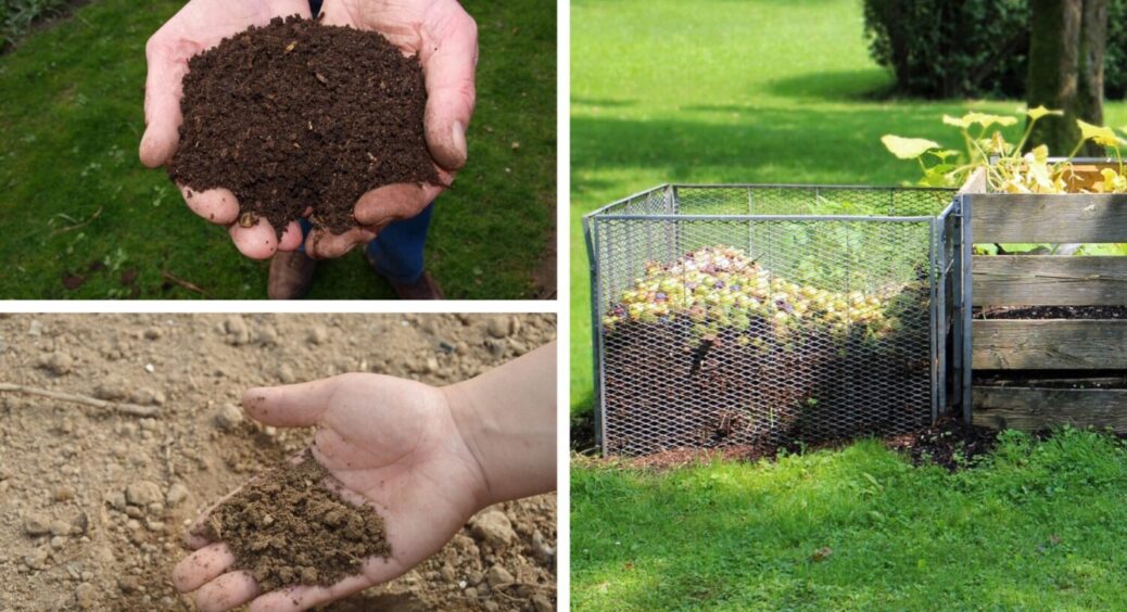 За 100 років краще не знайшли: дуже старий метод удобрення ґрунту – просто розкидайте ЦЕ 