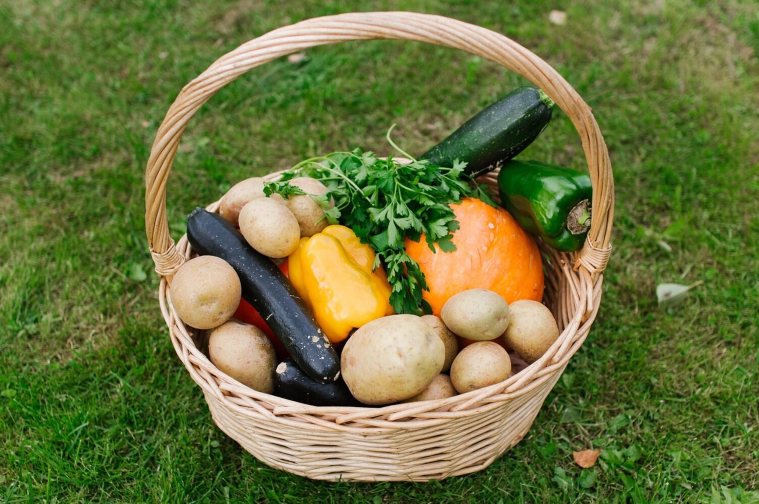 Городники розповіли, які овочі висадити у відкритий ґрунт під зиму